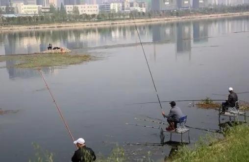 野钓同时钓鲤鱼和草鱼用什么钩好,野钓草鱼钓石头还是沙滩
