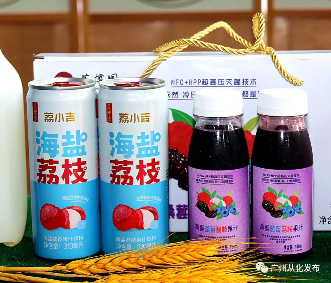 荔枝产业乡村振兴,广州从化电商工匠助荔行动开启