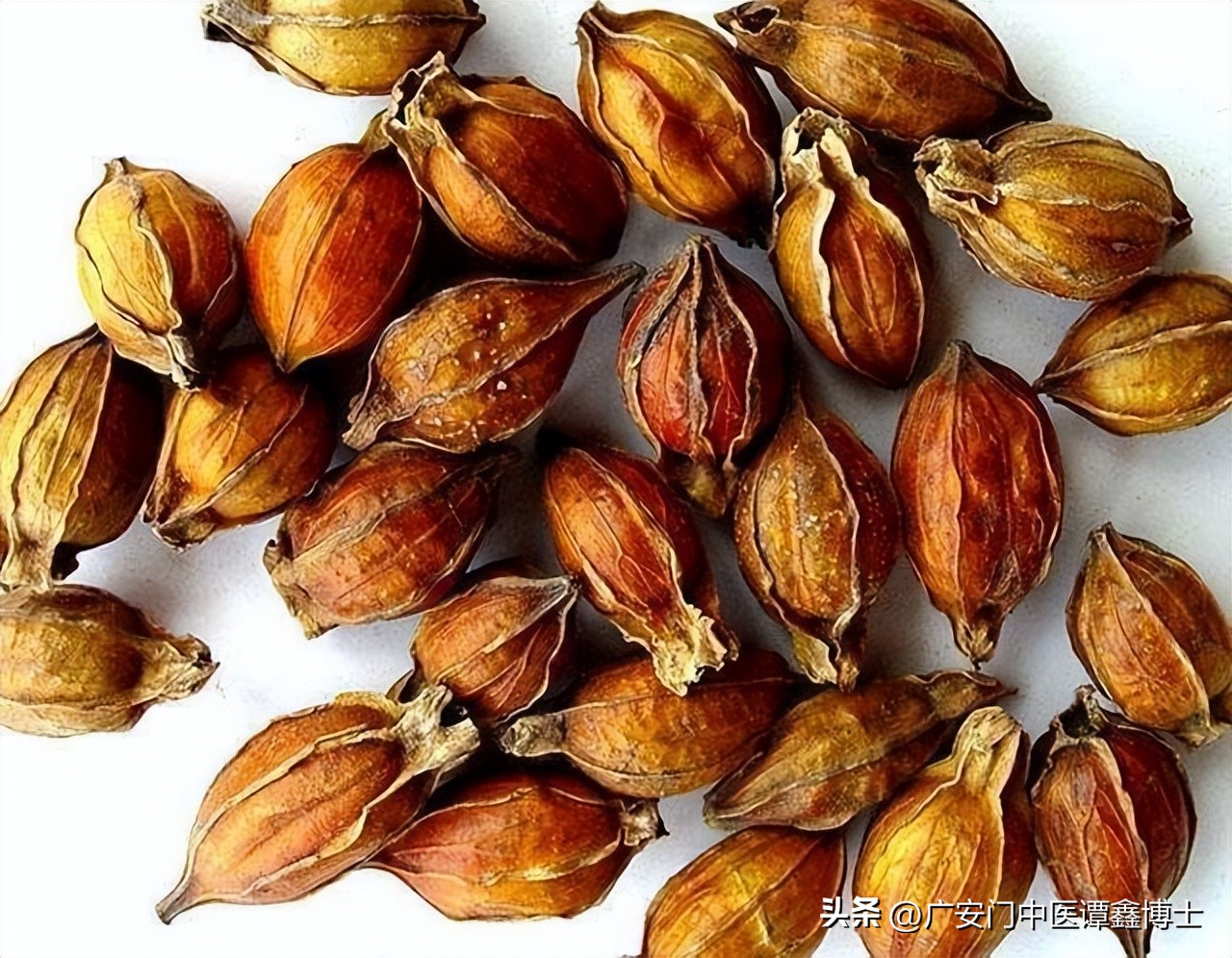 肺脾气虚哮喘的方剂,肝郁气滞哮喘的中药方