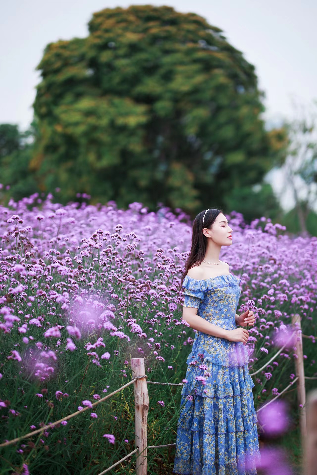 实用马鞭花人像拍摄攻略，新手也能快速学会，拍照美出新高度