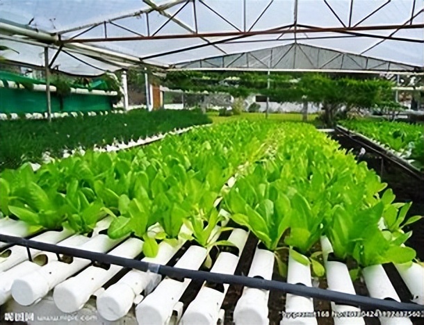 有机农业的基本特征,有机农业的利弊