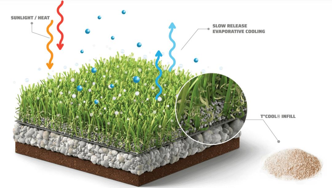 草坪养护撒石灰还是先播种,草坪养护是否复杂