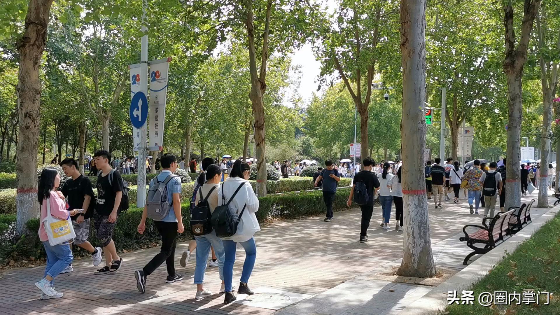 与其说都上大学了，谁回去种地，不如说何不食肉糜？