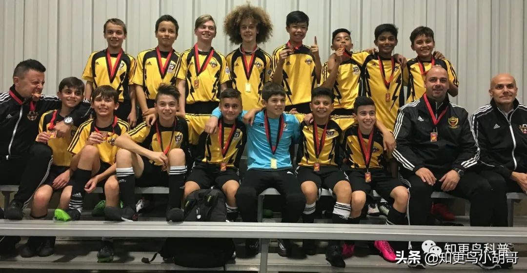 加拿大足球的崛起给国足3大启示,国足世界杯以前到底有多强