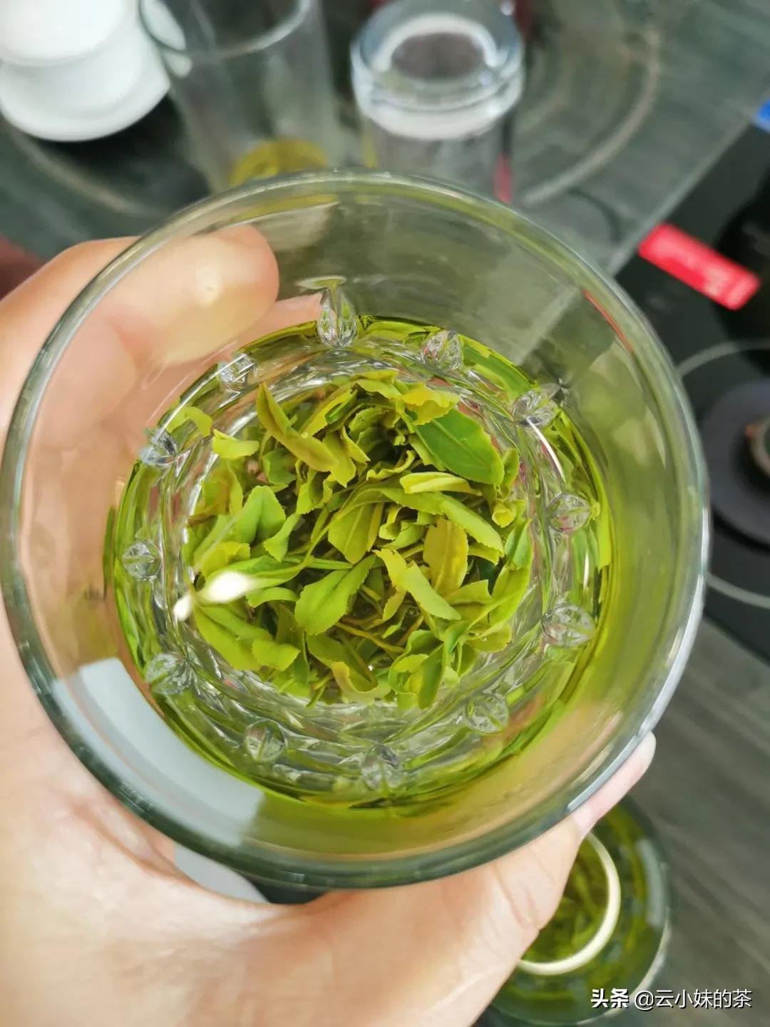 唯有茶香才能治愈一切,茶香最真实的感受