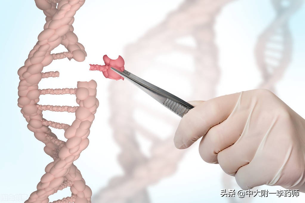 血同型半胱氨酸偏高的意义,血同型半胱氨酸高的危害