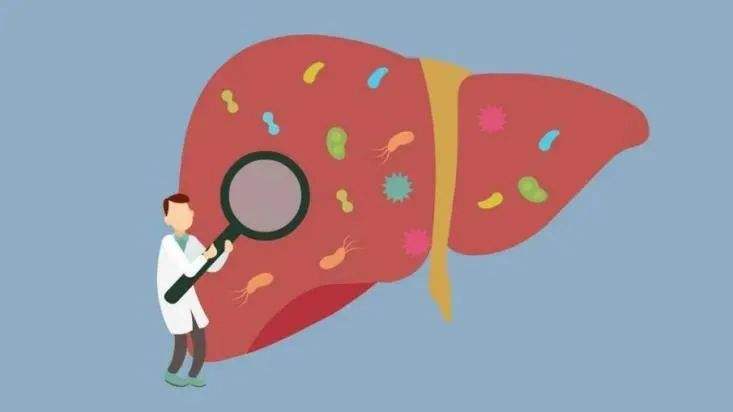 导致肝病的生活习惯有哪些,什么习惯会引发肝病