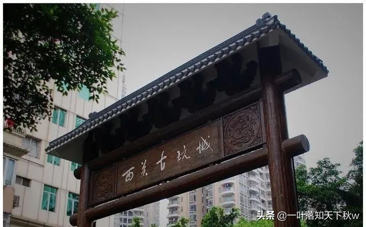 古玩市场逛逛视频 (逛逛辽宁兴城古玩市场)