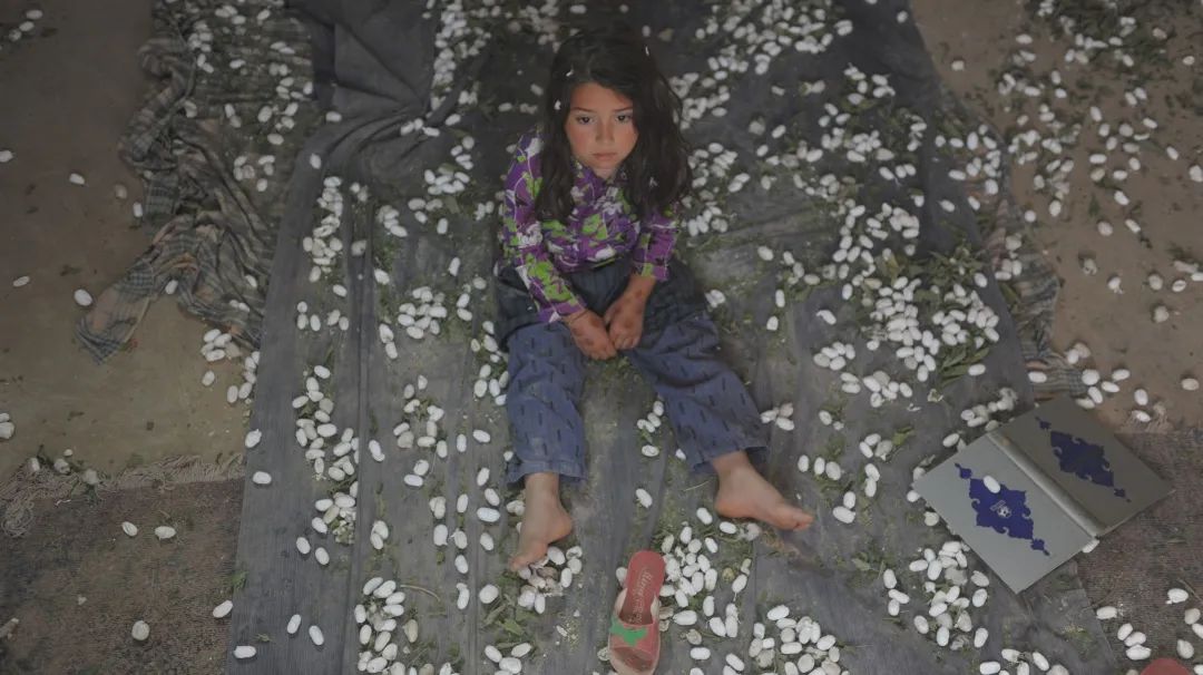 别关电视！电影音乐晚会过后，12部佳片即将放送