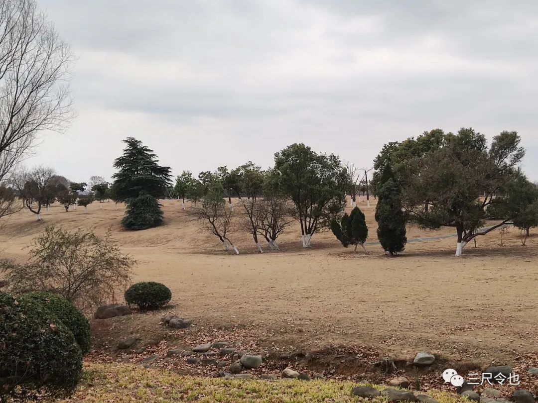 消费者诉讼维权小知识,生活中的四种消费者维权