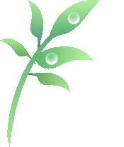 不想吃饭还拉怎么回事,不想吃饭有点拉肚子胃胀