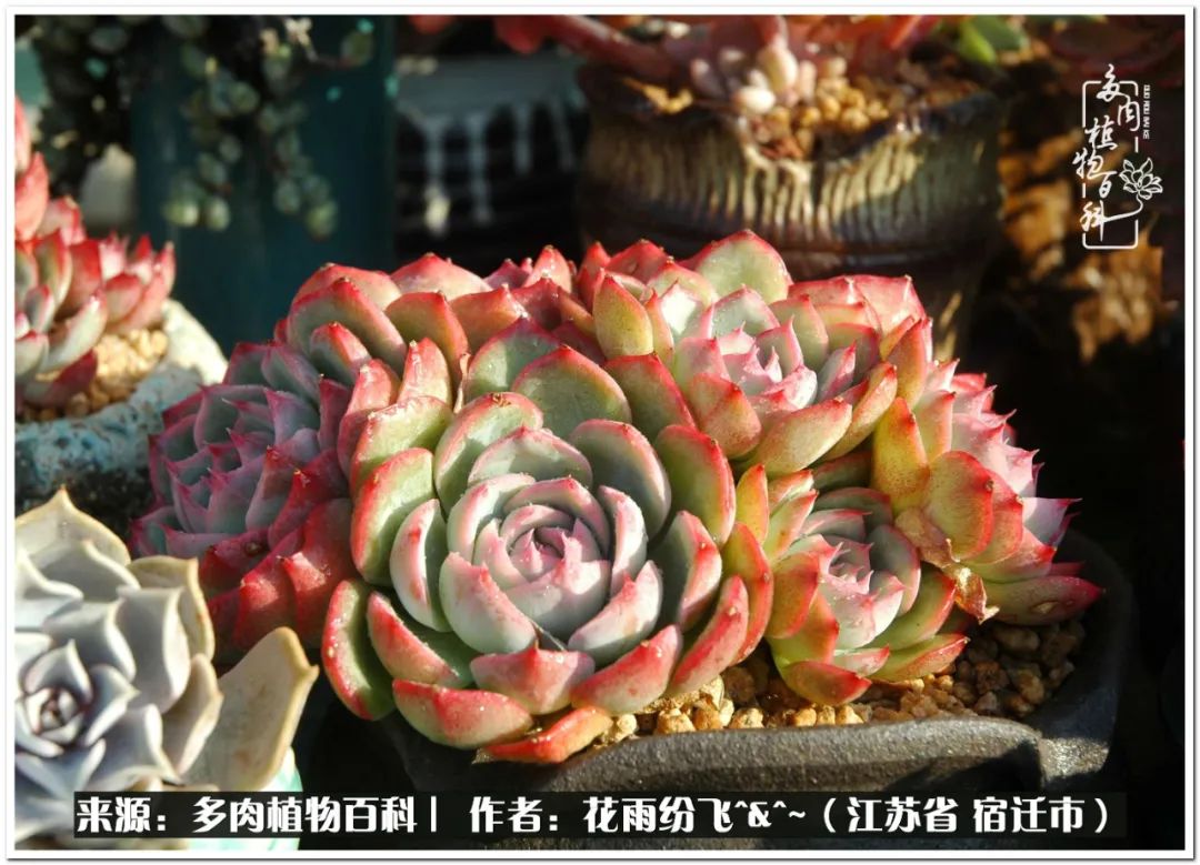 回味童年无忧无虑的快乐时光,童年最快乐的时光