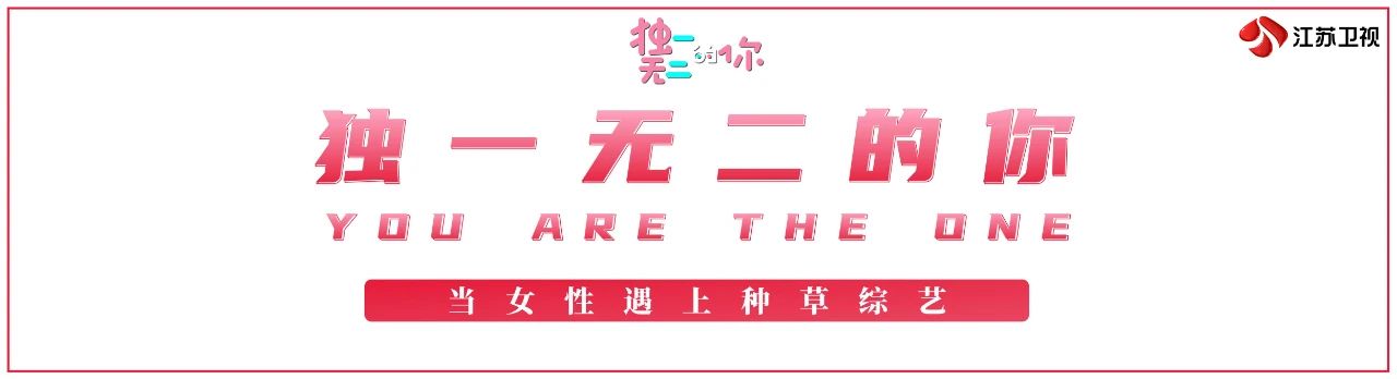 闪光新荔量！2023江苏卫视节目赏新暨资源推介会官宣了22档节目