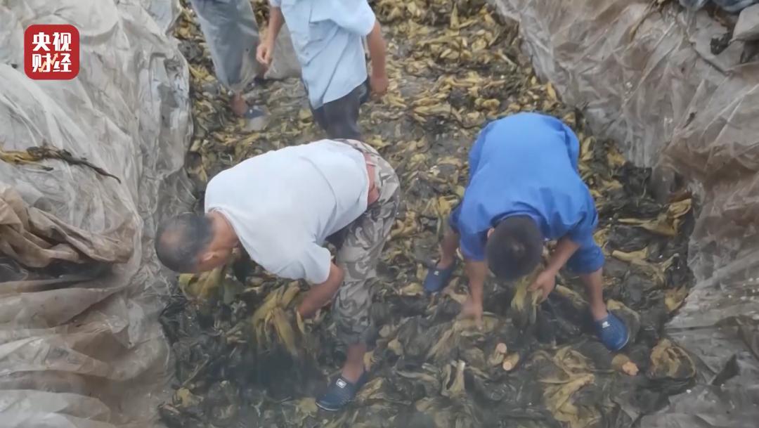 看了315晚会有何感想,看完315晚会的感想