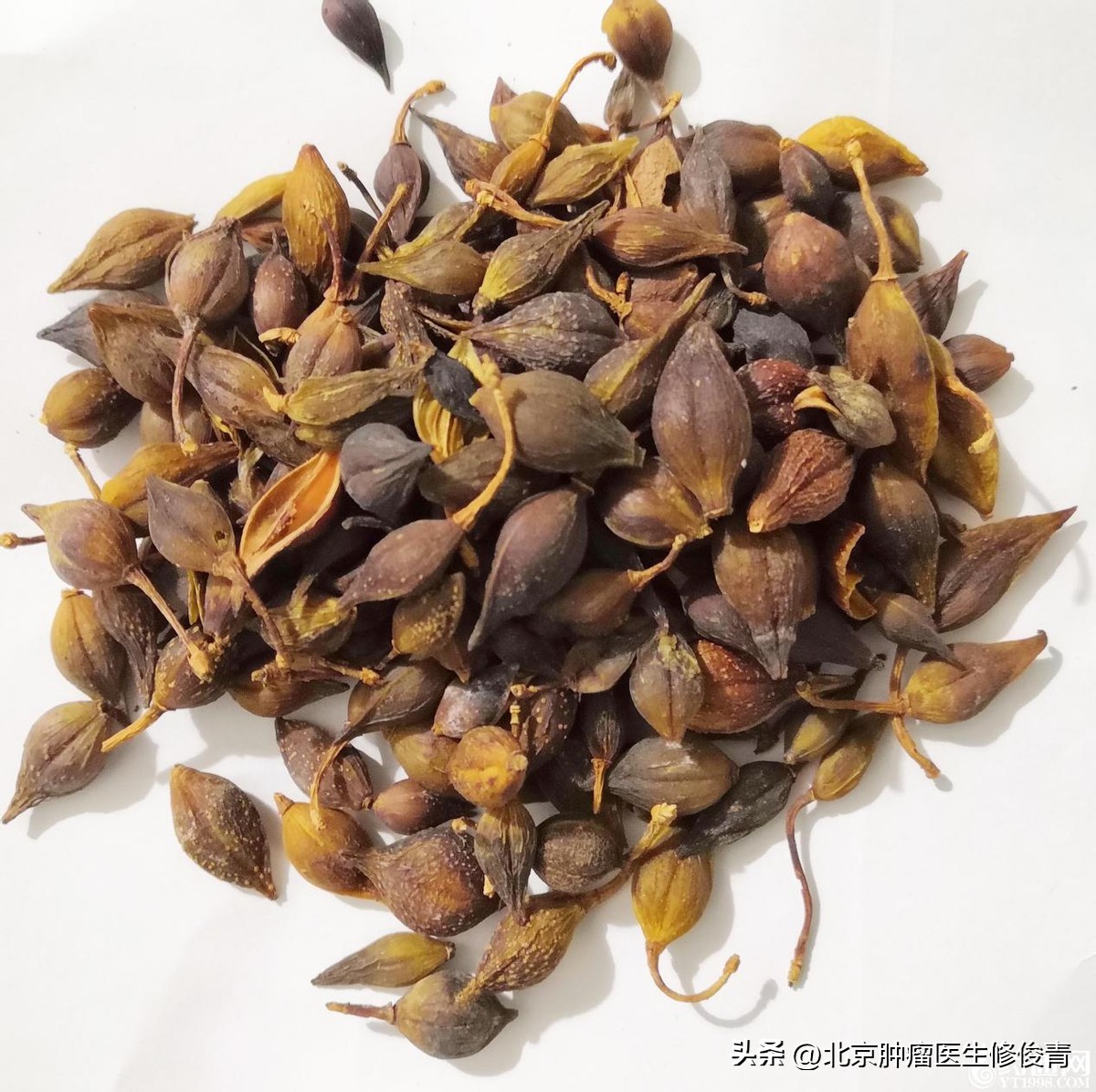 清热祛湿治疗前列腺中药,治疗前列腺炎祛湿热最好的中成药