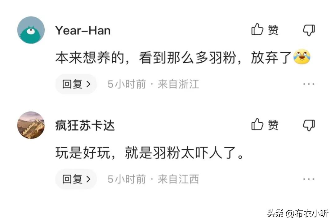 蓝黄金刚鹦鹉优缺点,千万别养蓝猫