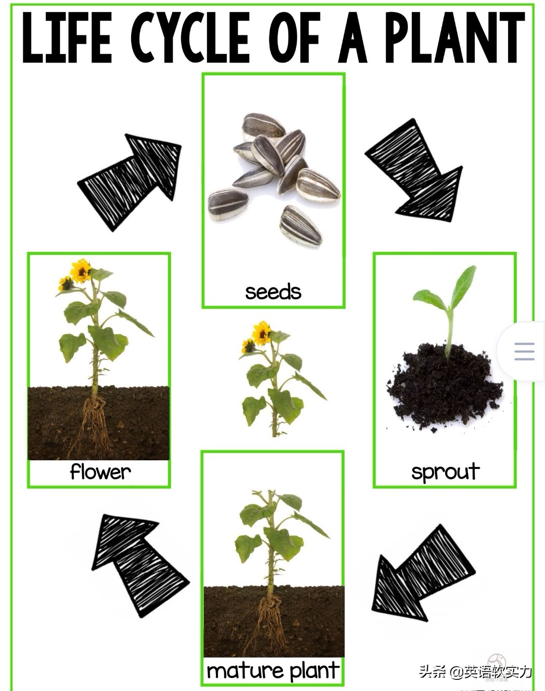 幼儿英语启蒙创意,儿童英语有趣早教