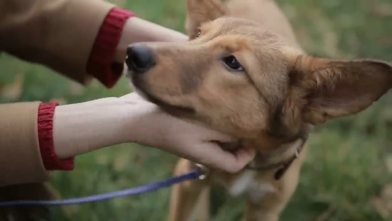 新加坡工资4000新币高吗,新加坡本地人普通人月收入多少