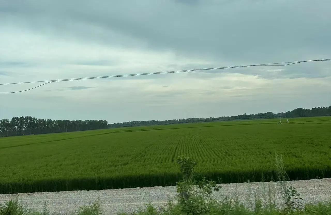 北京出发内蒙东北自驾环线图,北京至大兴安岭自驾攻略