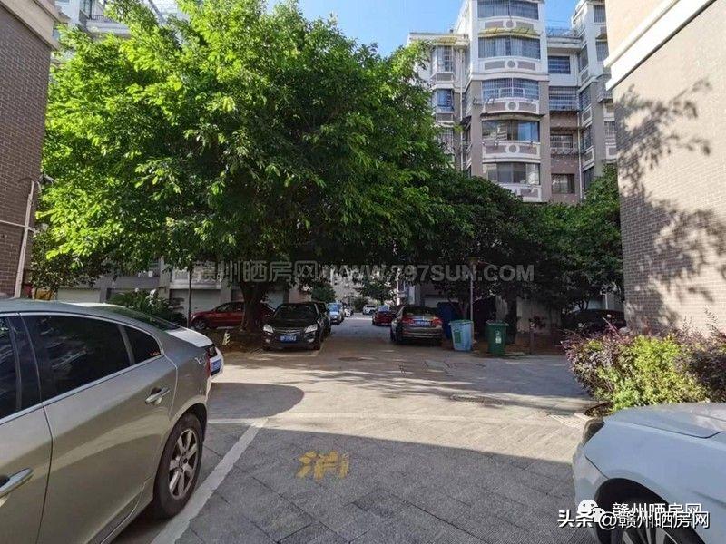 赣州金樽花园是哪年的房子,赣州金樽花园房价