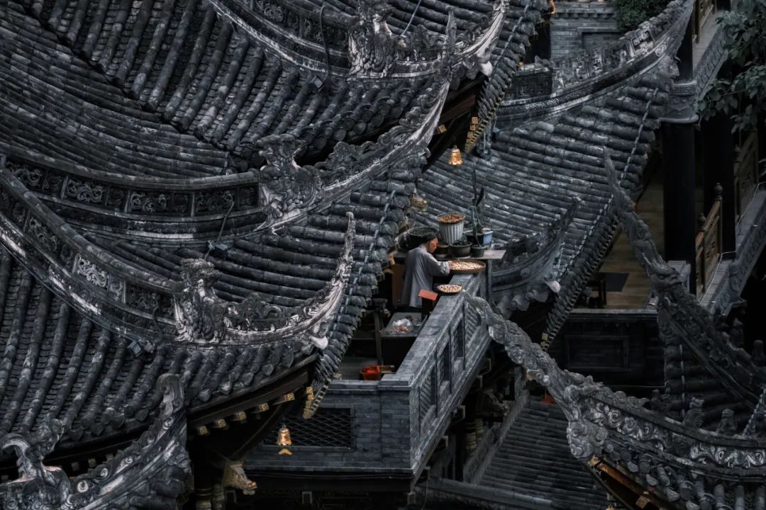 富士x-t5等四款相机迎来固件升级,富士x-t5对比富士gfx100s