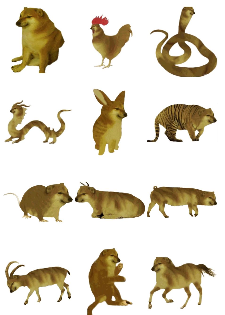 如果我变成面包狗你还会和我玩吗,妈妈如果我变成面包狗你会爱我吗