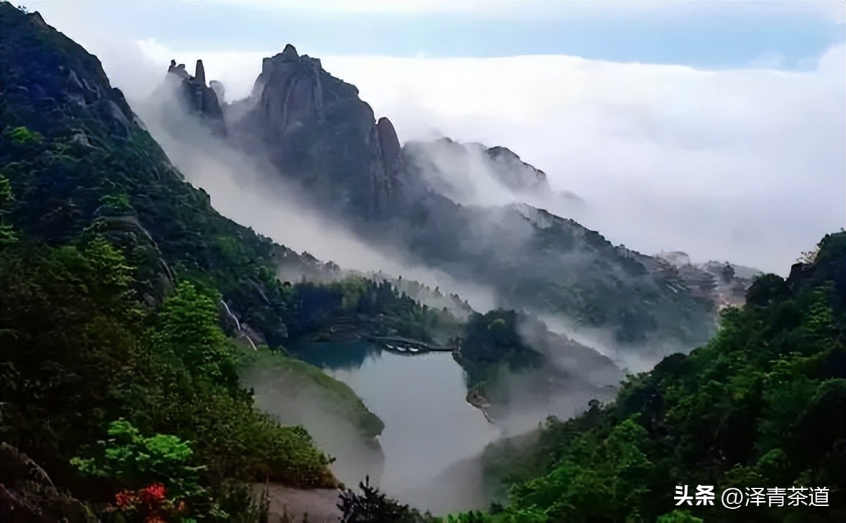 中国最优的十大名茶排名,最新中国十大名茶排名榜