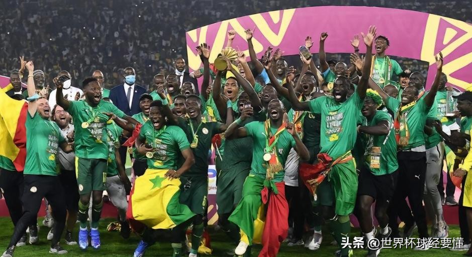 世界杯a组卡塔尔第二轮,世界杯a组赛第一阶段结果