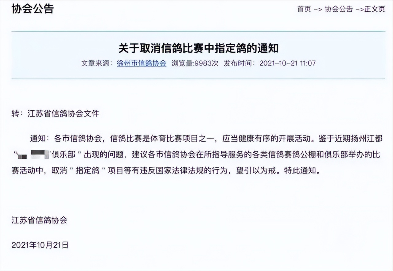跟赛鸽比赛相比，世界杯*球赌**只能算小场面？
