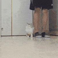 妹子穿皮裤,女生的皮裤