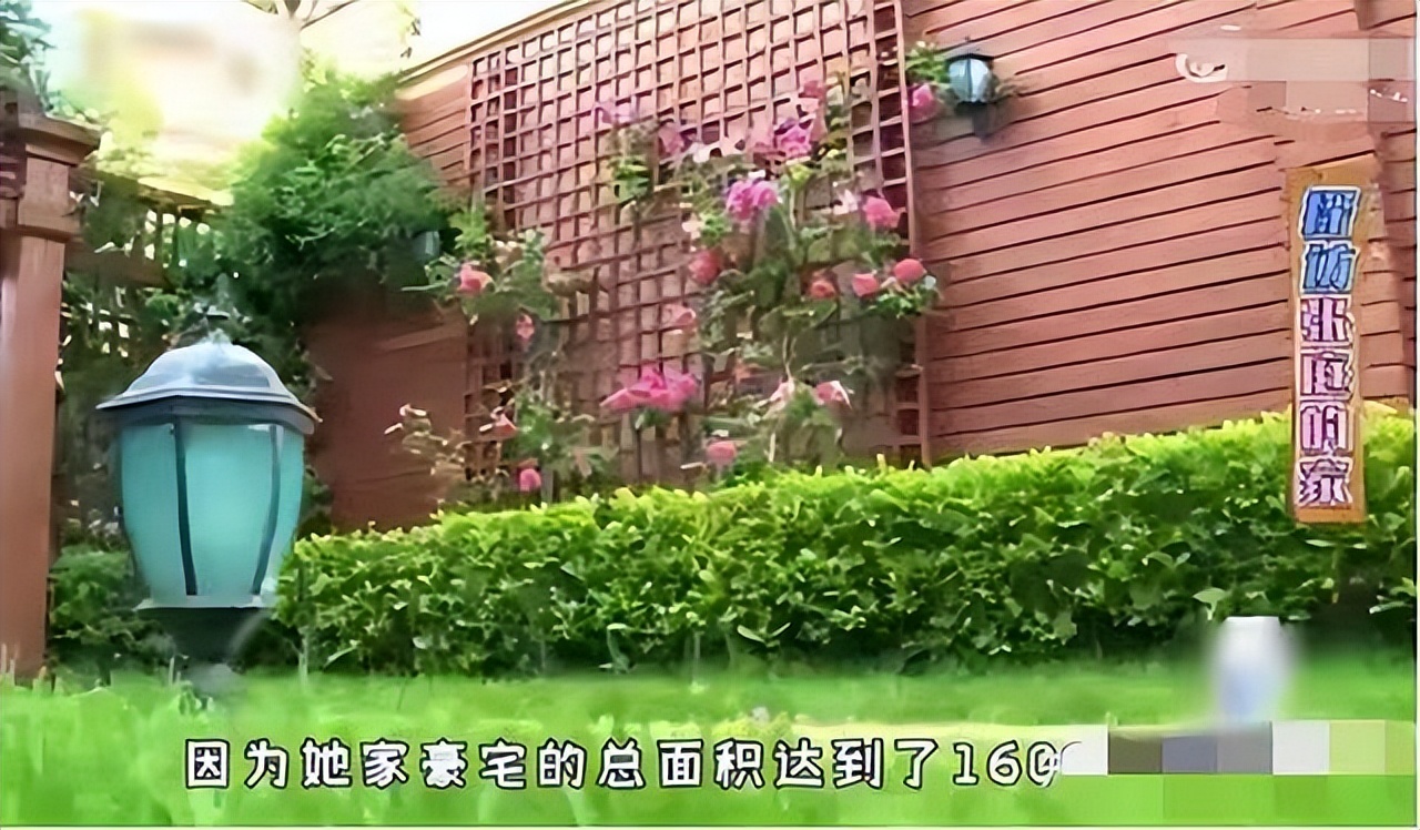 张庭夫妇公司原代理揭秘,张庭夫妇是代理商举报的吗