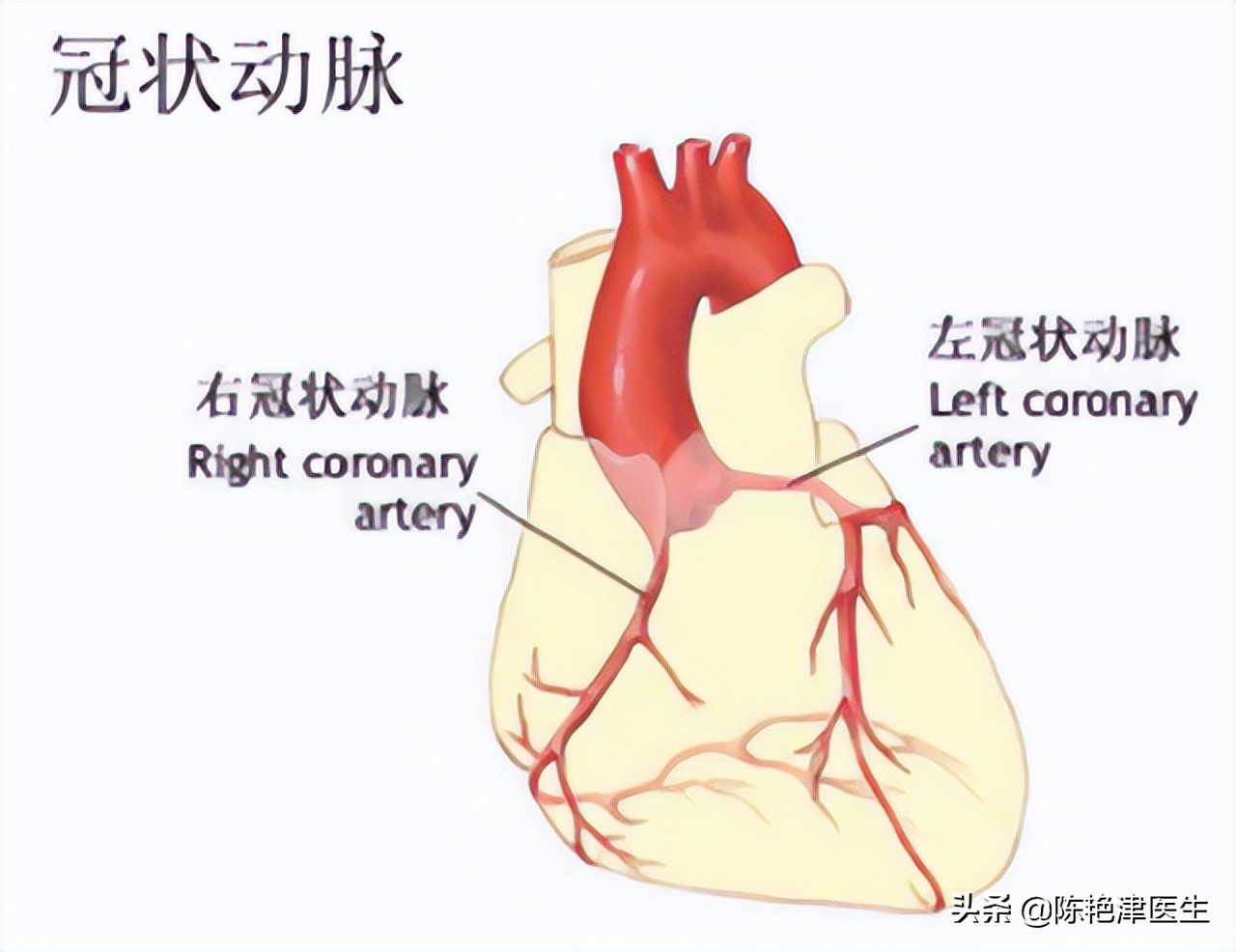 严重的心肌缺血吃什么药最好,心肌缺血吃什么药最好有效