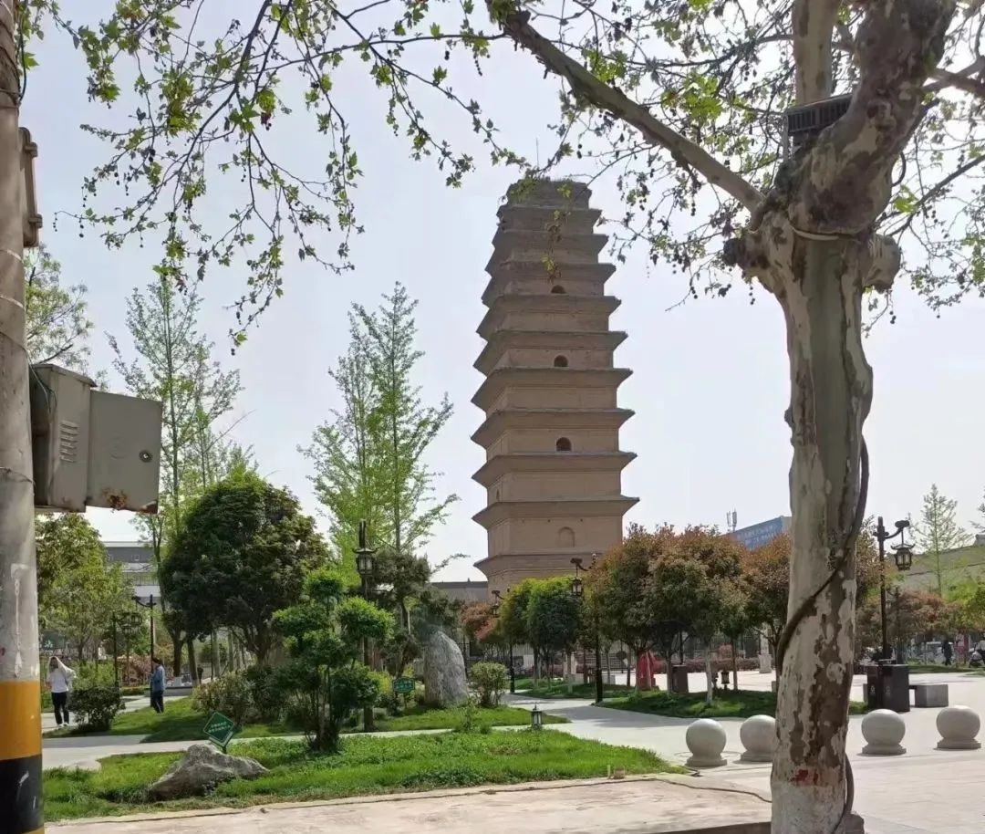 兴平马嵬路边的旧书摊勾起我的回忆...