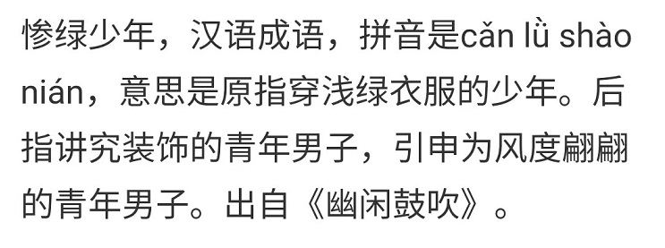 惨绿少年的解释,惨绿少年的含义