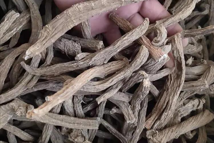 骨康胶囊治阴虚还是阳虚,骨康胶囊对骨质疏松有用吗