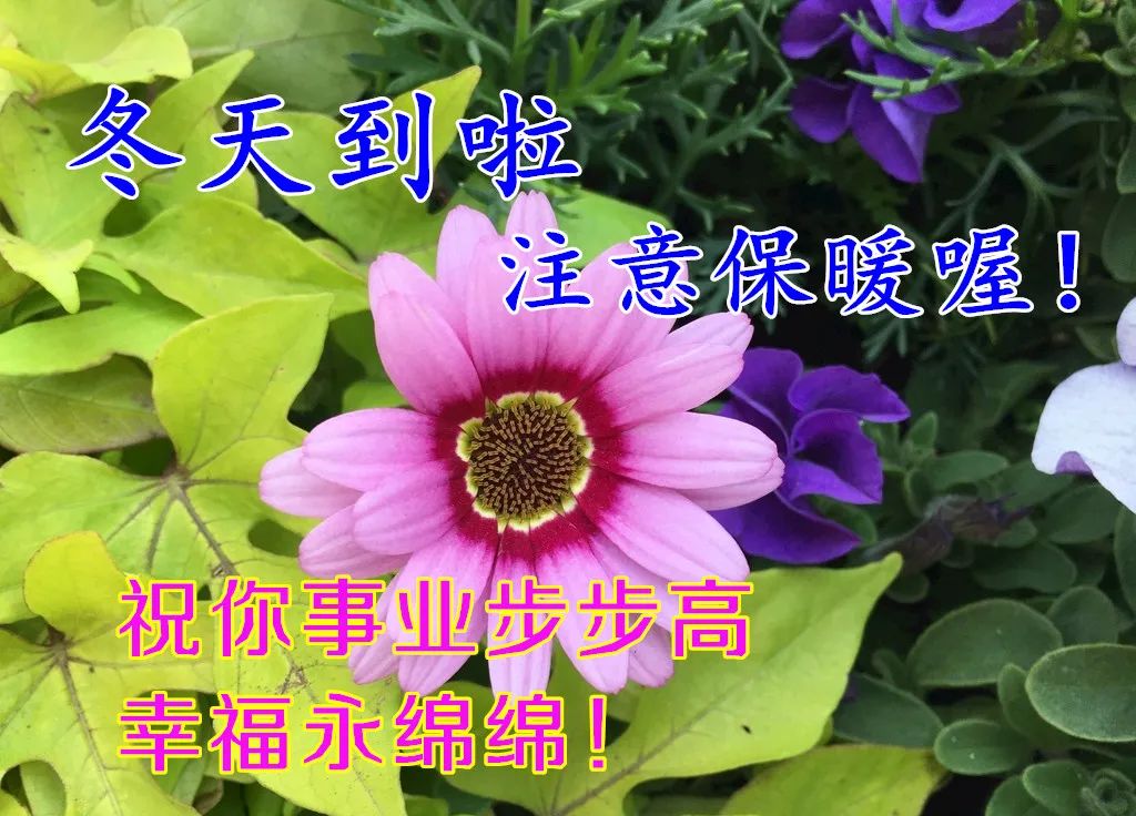 早晨阳光表情图片,秋季清晨非常漂亮早上好表情图片