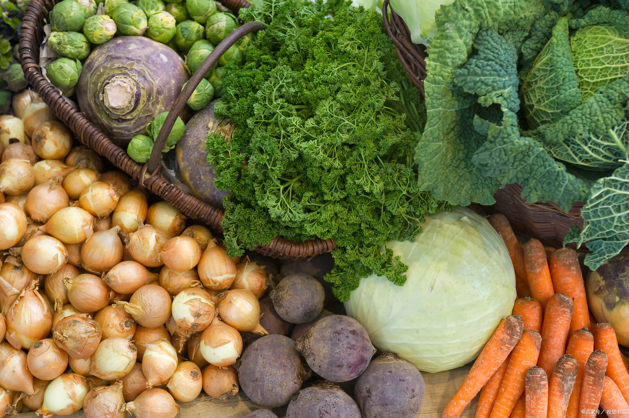 冬季厄尔尼诺对商品期货的影响,厄尔尼诺对期货品种影响排行