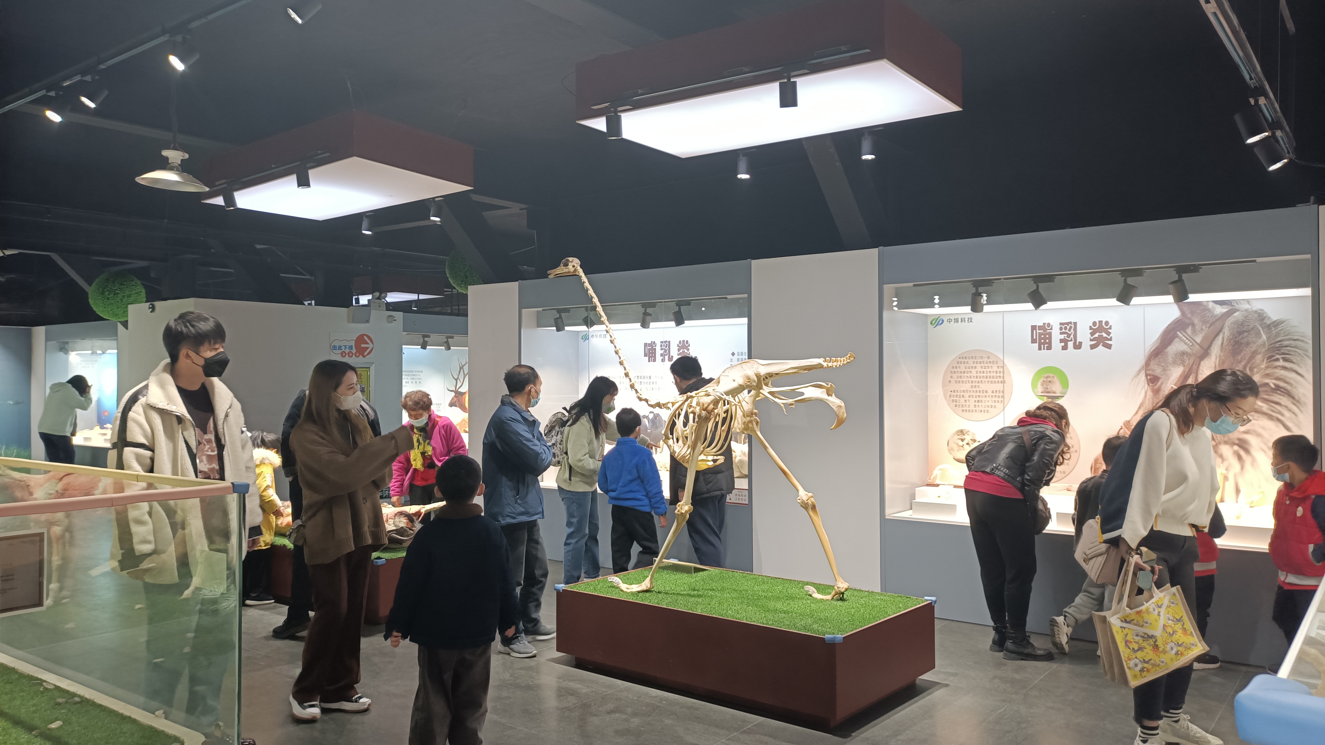 不负*光春**，来郑州人体科学院探寻生命进化证据