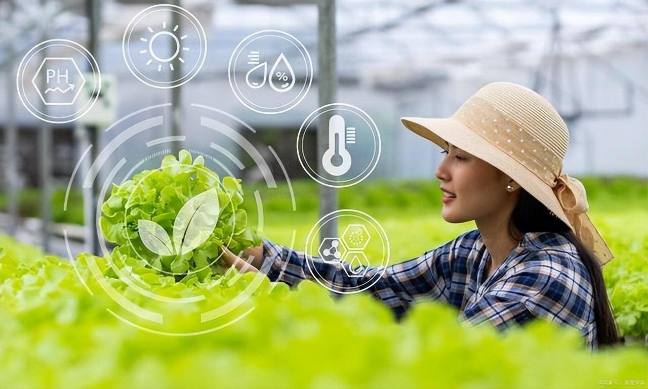 武汉小哥1年花2580种菜，5G远程浇水施肥，手机摘菜4小时快递到家