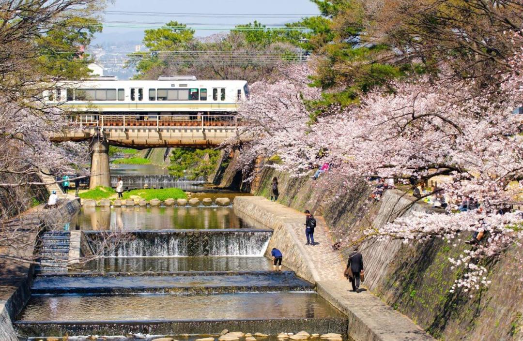 日本城市为什么那么干净,日本东京公园现状