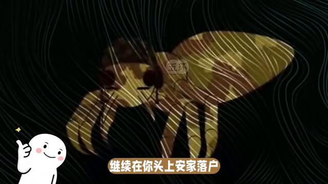 在头上好几年的虱子还能杀掉吗,头上的虱子为什么那么难去掉