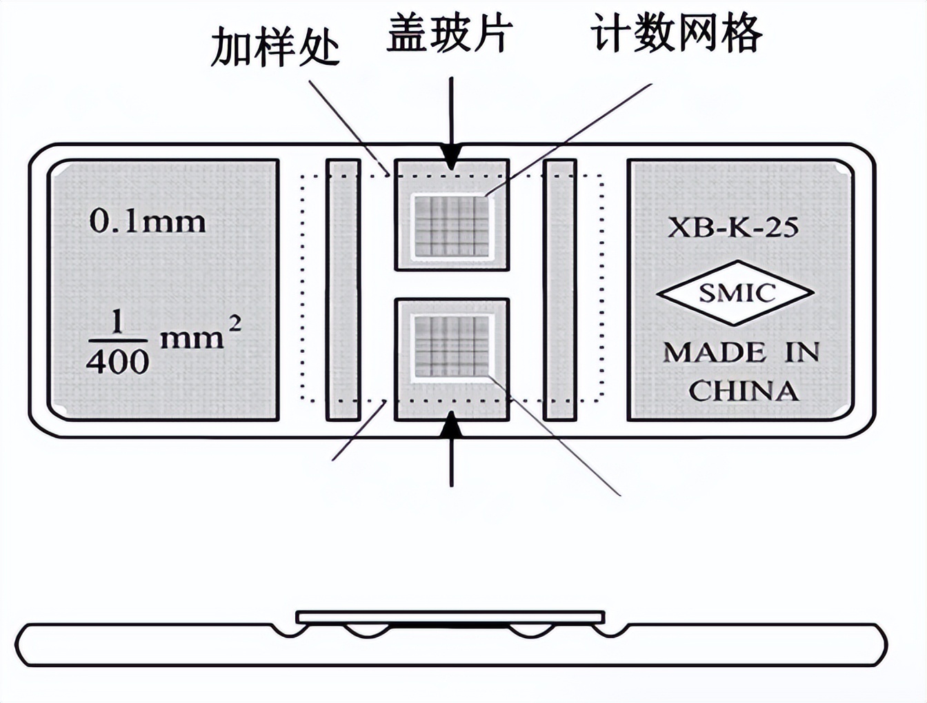 昆明纳瑞丨如何给细胞计数加buff?
