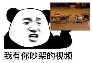 熊猫贴在墙上表情,震惊熊猫表情素材