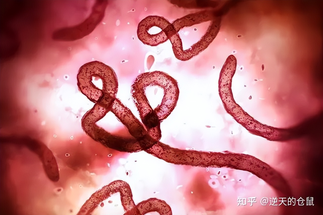 生化危机游戏出现的病毒,游戏生化危机未解之谜