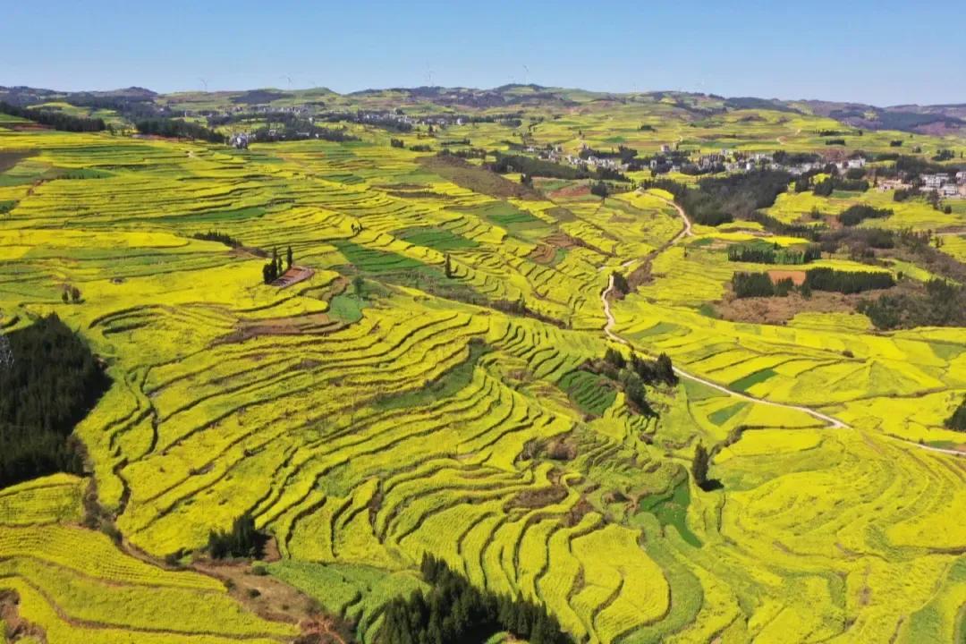 云南好玩的小城市,云南好看的城市