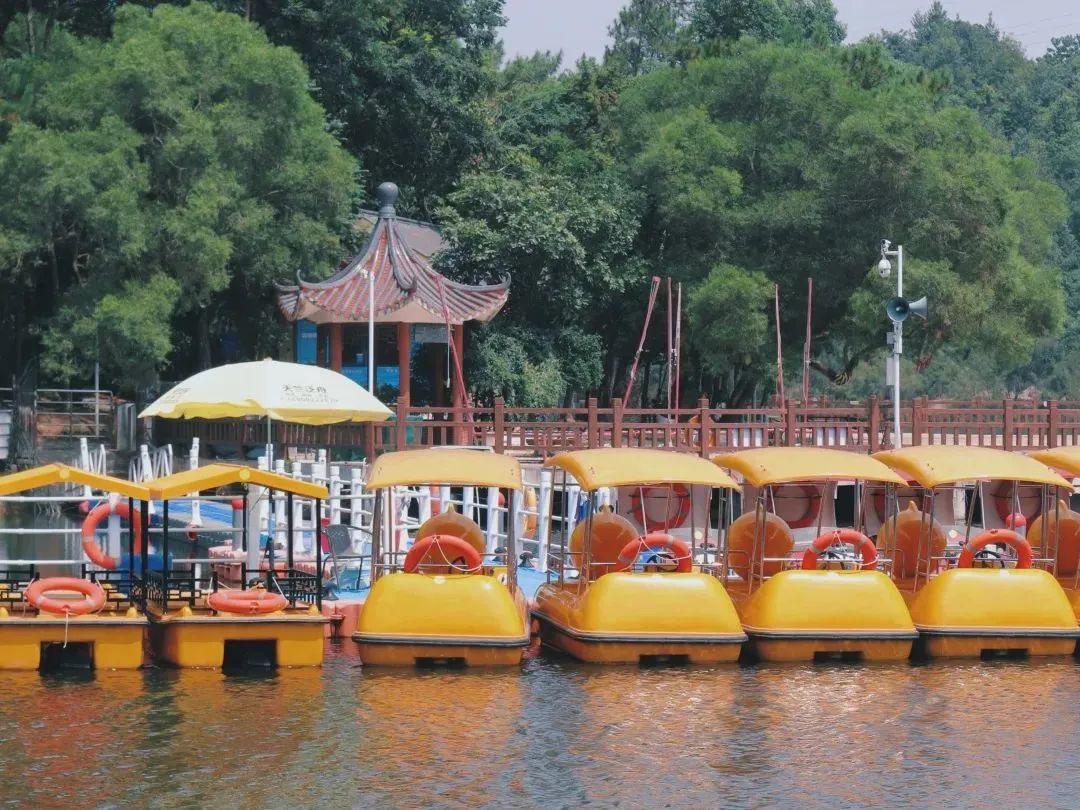 2019年厦门秋游,厦门高中秋游