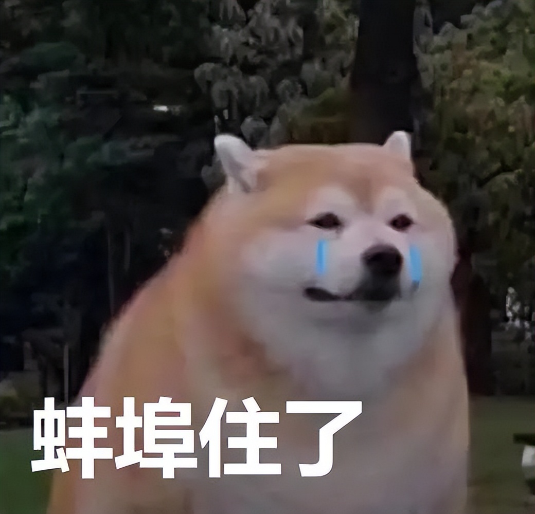 令人闻风丧胆的XBB来了？我看看是谁跟风买了尿不湿！