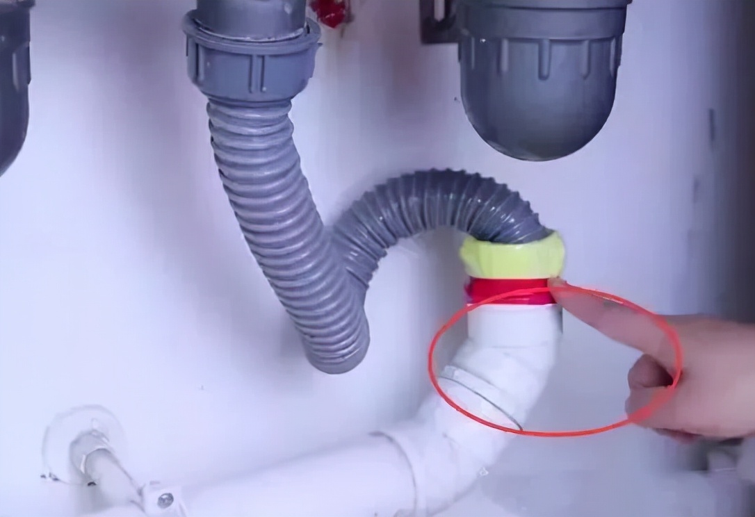 卫生间小飞虫蛾蚋的危害,卫生间小飞虫有多可怕