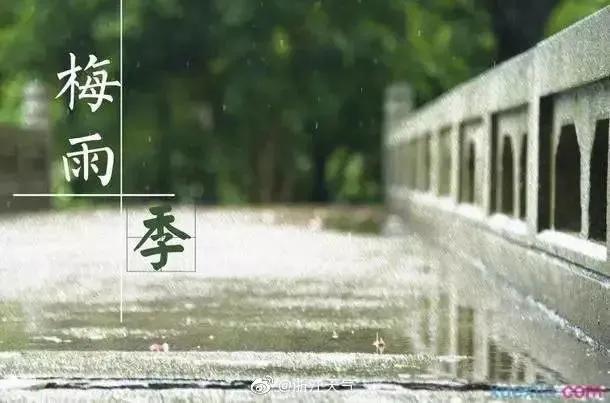 日历进梅的日子怎么算的,日历上入梅和出梅是代表什么