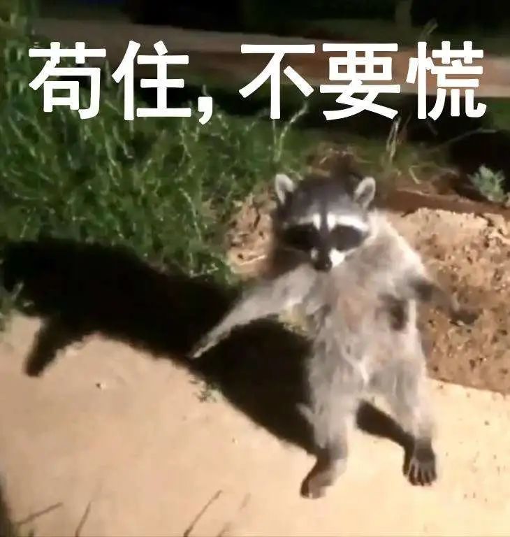 QQ突然关停这功能，我人“傻”了